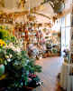 FlowerShop2.jpg (398423 bytes)